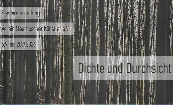 2026_Sonderausstellung_Dichte und Durchsicht_MK_S1_klein